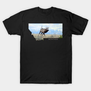 Montana- Bull Elk T-Shirt